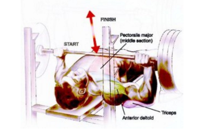 Tập luyện với thanh tạ để tăng ngực dưới và ngực trong 