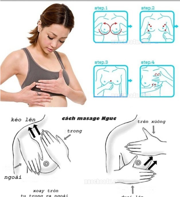 Massage ngực giúp lưu thông máu và chống lão hoá cho da, giúp da ngực săn chắc ngăn ngừa chảy xệ