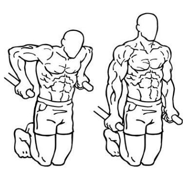 Cách tập cơ ngực dưới hiệu quả nhất với Dip
